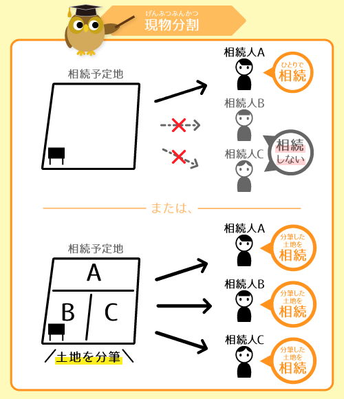 現物分割